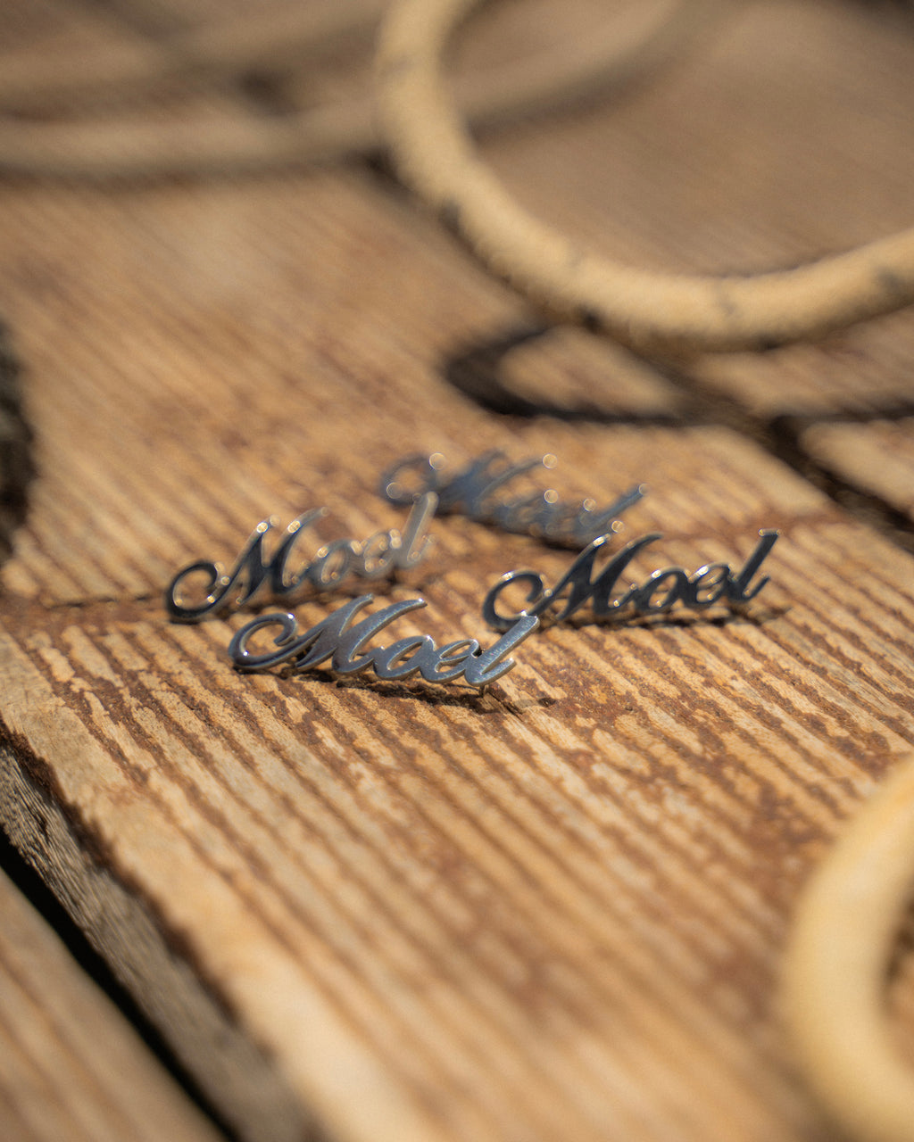 MOEL'S PIN